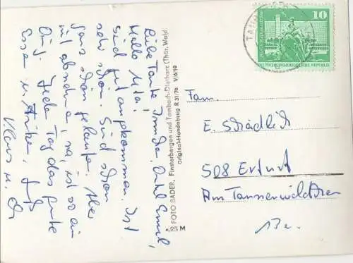 Tambach-Dietharz - Pinguin eisbär