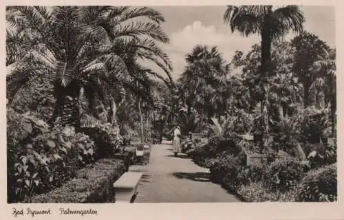 Bad Pyrmont - Palmengarten - ca. 1955