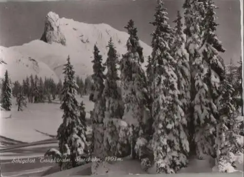 Österreich - Österreich - Tauplitzalm - Schigebiet - 1969