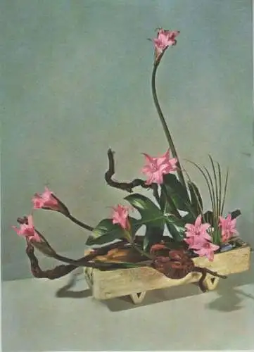 Ikebana Nicht in der Ferne