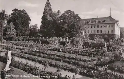 Mainau - Rosengarten