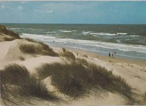 Nordsee - Dünen