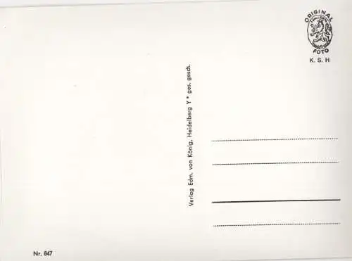 Heidelberg (Neckar) - 5 Bilder