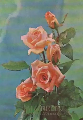 Geburtstagswünsche - 1975