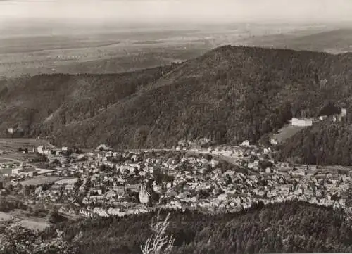 Waldkirch - Ansicht