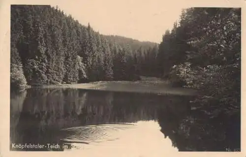 Stützerbach - Knöpfelstaler Teich