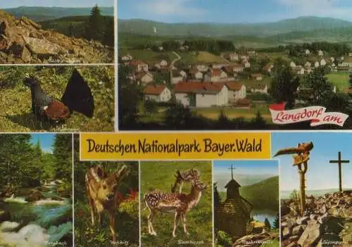 Bayerischer Wald - mit Langdorf - 1975