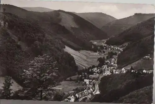 Herzberg-Sieber - Blick vom Lilienberg - ca. 1960