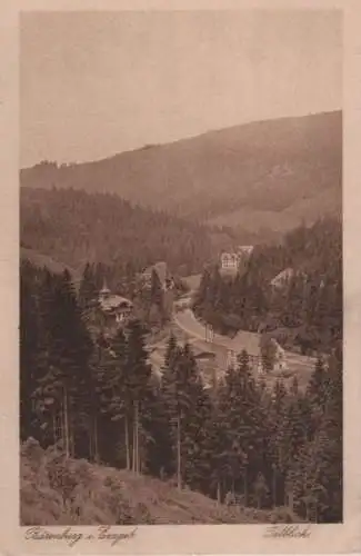 Altenberg-Bärenburg - Talblick - ca. 1935