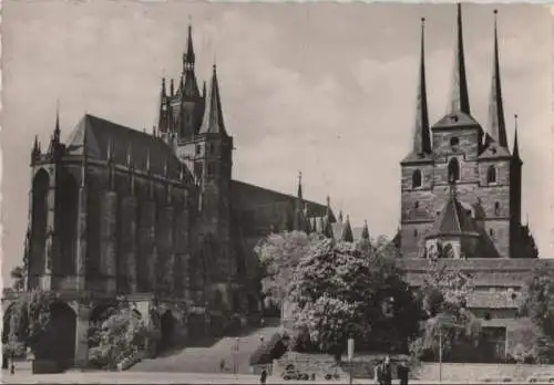 Erfurt - Dom und Severikirche