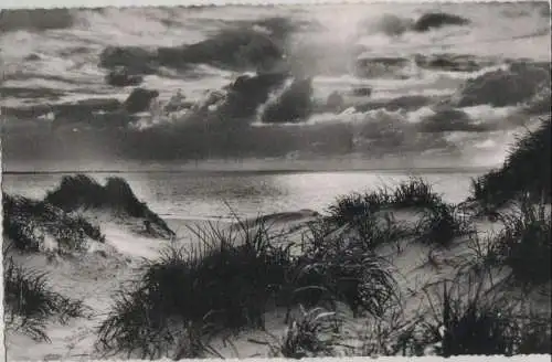 Sylt - Dünen und Strand