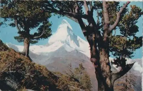 Schweiz - Zermatt - Schweiz - Blick aus dem Arvenwald