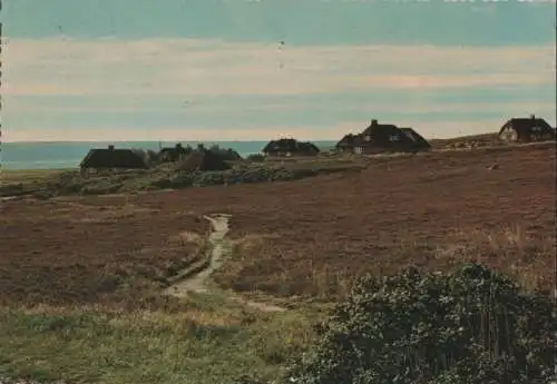 Sylt - Friesenhäuser in der Kampener Heide - ca. 1965