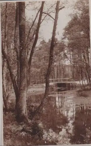 Wasserlauf im Wald - ca. 1935