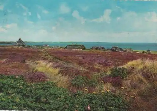 Sylt - Heidepartie - 1968