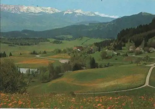 Scheidegg - Blick auf das Alpenfreibad - 1977