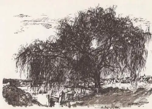 Eggenstein-Leopoldshafen - Weide am Bachkanal