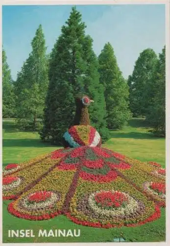 Mainau - Blumenpfau