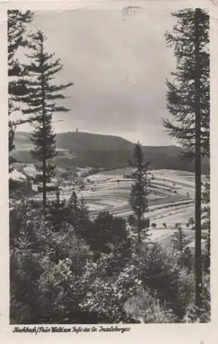 Fischbach Thür. Wald am Inselberg - 1956