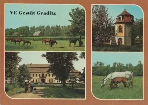 Torgau-Graditz - Gestüt - 1987