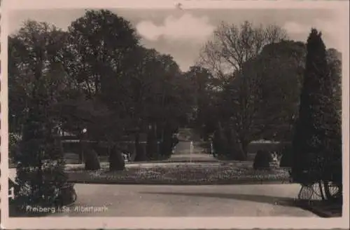 Freiberg - Albertpark - ca. 1950