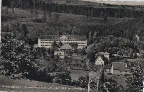 Hochwaldhausen (OT von Ilbeshausen-Hochwaldhausen) - Blick vom Hegholz - 1959