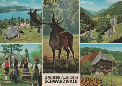 Schwarzwald - ca. 1975