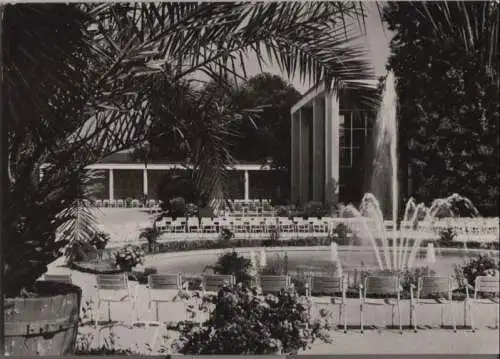 Bad Neuenahr-Ahrweiler - Fontäne im Kurpark - 1967