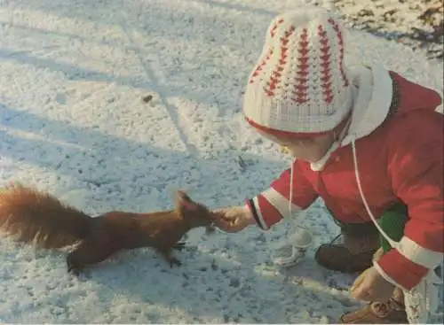 Kind füttert Eichhörnchen