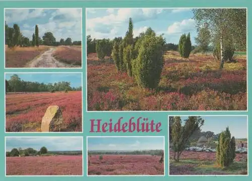 Lüneburger Heide - ca. 1995