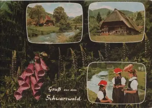 Schwarzwald - 1965