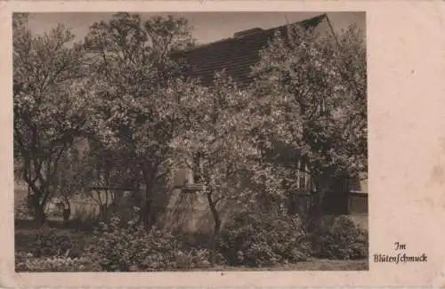 Haus im Blumenschmuck - 1941