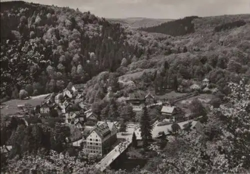 Treseburg - Blick vom Aussichtspunkt - 1970