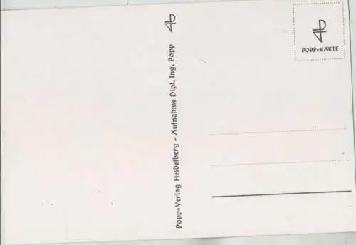 Vier helle Blüten unbekannte Art