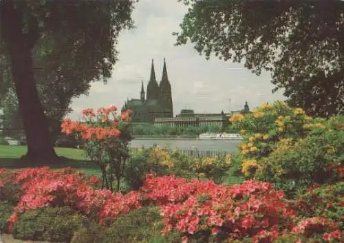 Köln - Frühjahr am Dom - 1982