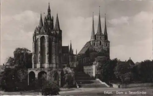 Erfurt - Dom und Severikirche - 1958