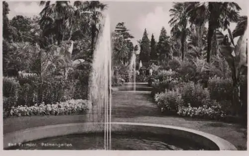 Bad Pyrmont - Palmengarten - ca. 1960