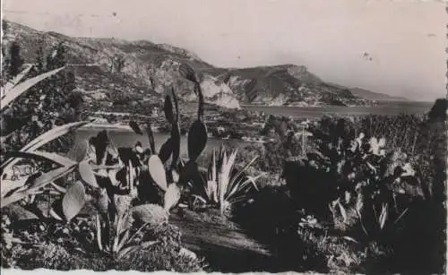 Frankreich - Frankreich - Nizza - Le Plateau du Mont Boron - 1951