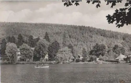 Georgenthal - Am Hammerteich - 1964