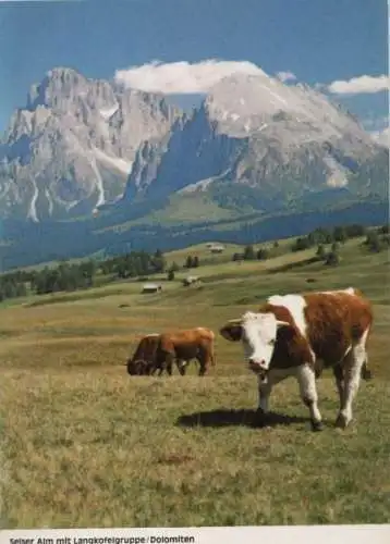 Italien - Italien - Langkofel - Selser Alm - ca. 1980