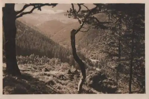 Tabarz - Thüringer Wald - 1952