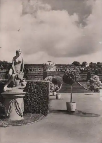 Potsdam, Sanssouci - u.a. Schloß mit Weinbergterrasse - ca. 1965