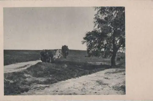 Landschaft mit Baum - ca. 1955