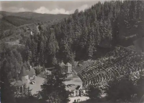 Meiningen - Naturtheater - ca. 1975