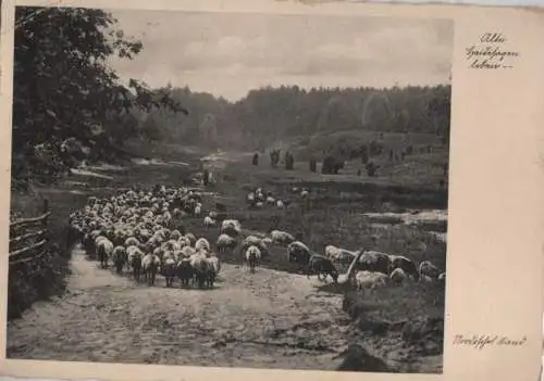 Nordisches Land Lüneburger Heide?