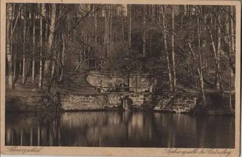 Schlangenbad - Sophienquelle bei Grünsberg - ca. 1925