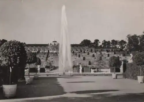 Potsdam - Sanssouci, Schloß - 1967