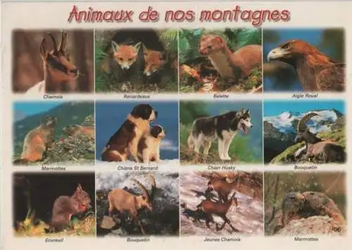 Frankreich - Montagne - Frankreich - Animaux