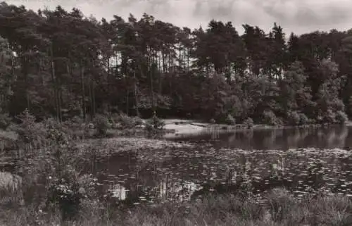 Mölln - Am Pinnsee - 1965