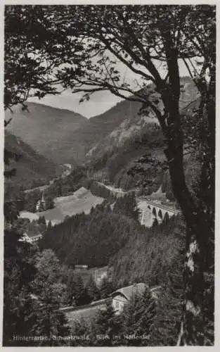 Hinterzarten - Blick ins Höllental